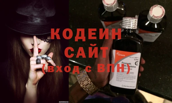 прущие грибы Корсаков