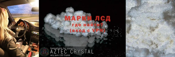 прущие грибы Корсаков