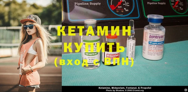 прущие грибы Корсаков