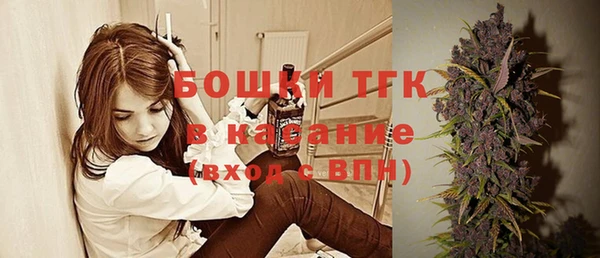 прущие грибы Корсаков