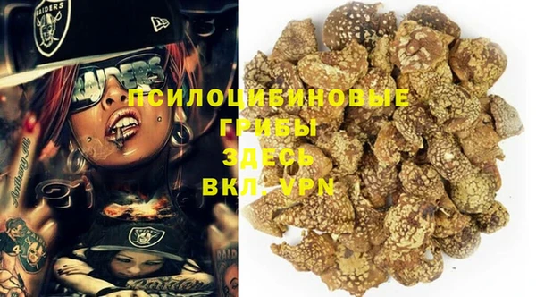 прущие грибы Корсаков