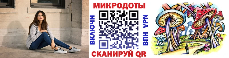 Псилоцибиновые грибы прущие грибы  Новодвинск 