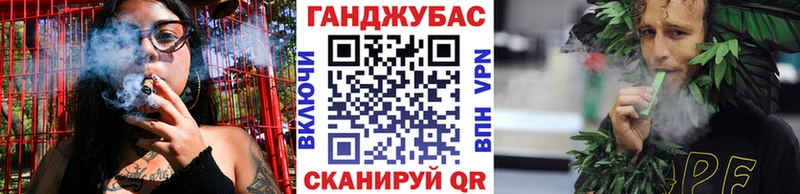 сколько стоит  Новодвинск  Бошки марихуана Amnesia 